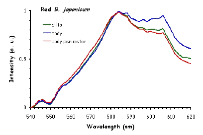 Figure 10a