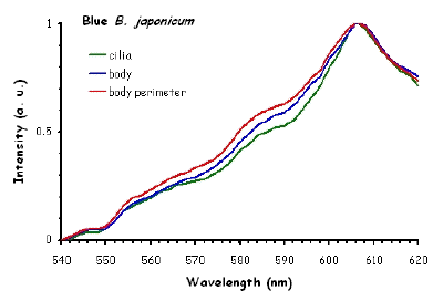 Figure 10b