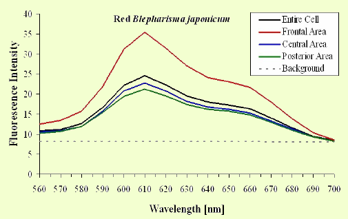 Figure 11a