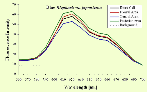 Figure 11b