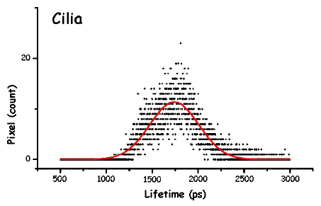 Figure 13a