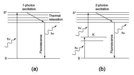 Figure 1a