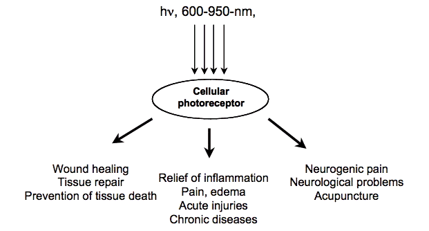 Fig1