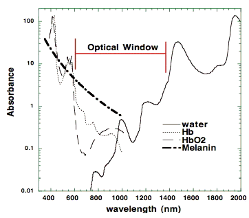 Fig2