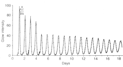 Figure 23