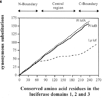 Figure 26