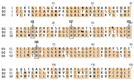 Figure 28