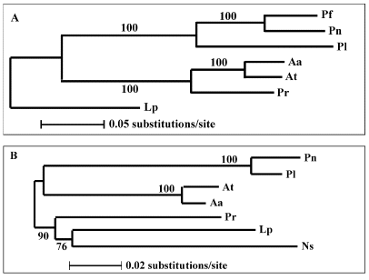 Figure 30