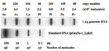 Figure 32