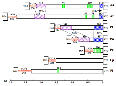 Figure 33