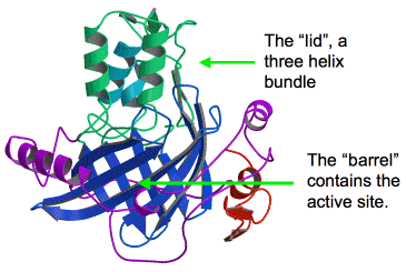 Figure 34