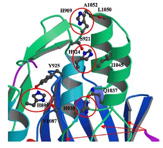 Figure 36