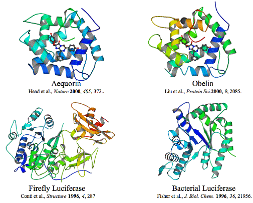 Figure 37