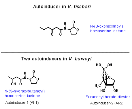 Figure 22