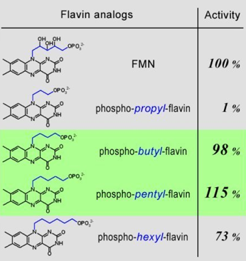 Figure 35