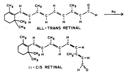 Cis-Trans Isomerization