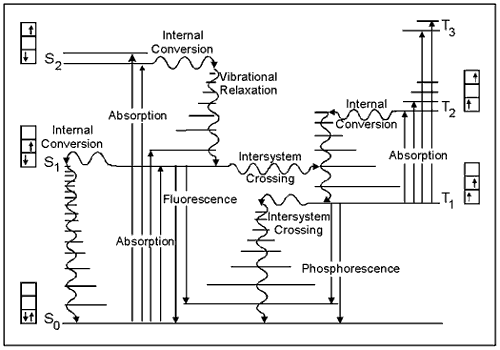 Jablonski Energy Level Diagram