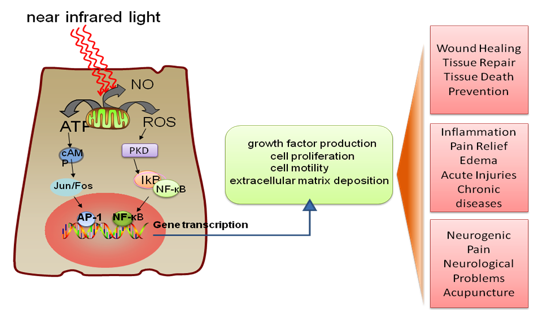 Figure 10